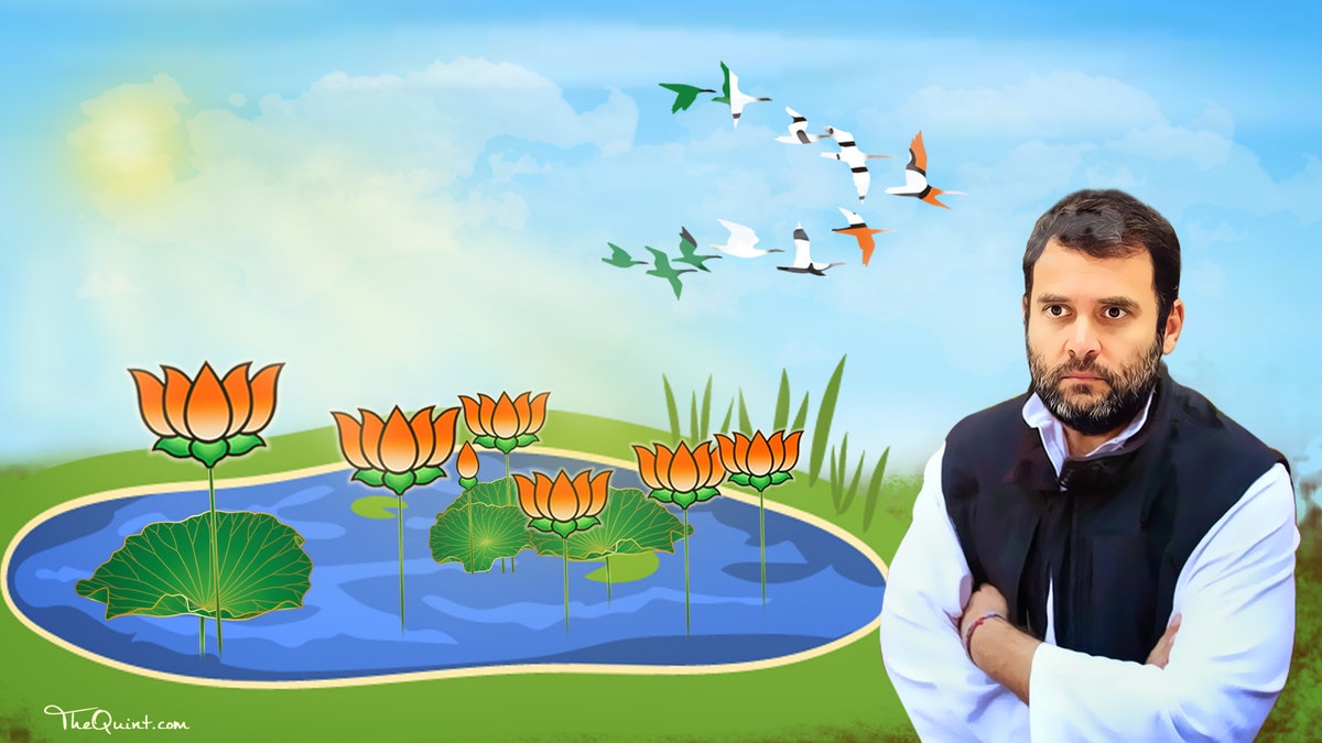 So Close Yet So Far: When Rahul &lsquo;Almost&rsquo; Became Congress President